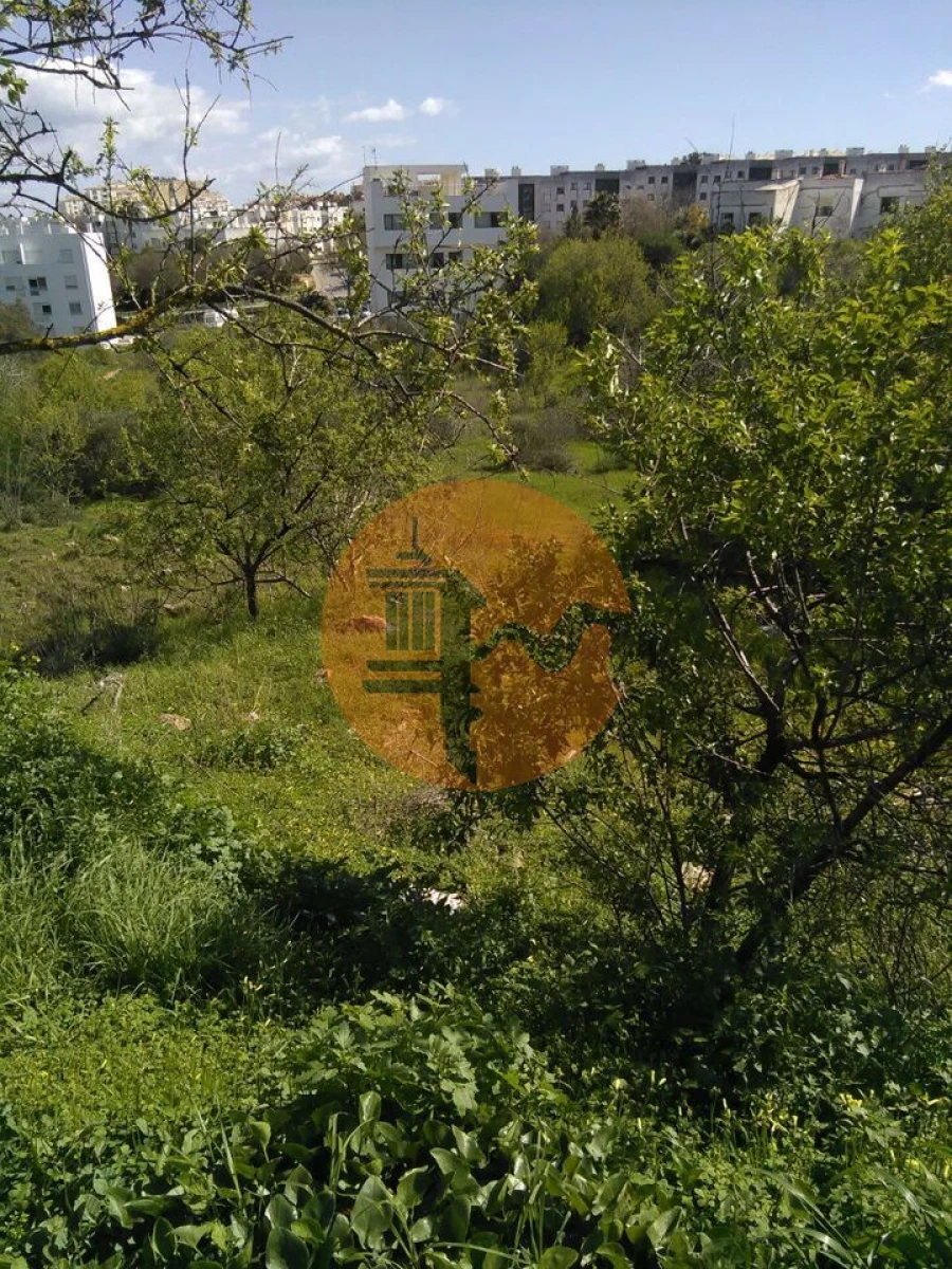 Terreno para Venda em Lagos (São Sebastião e Santa Maria) Foto 3