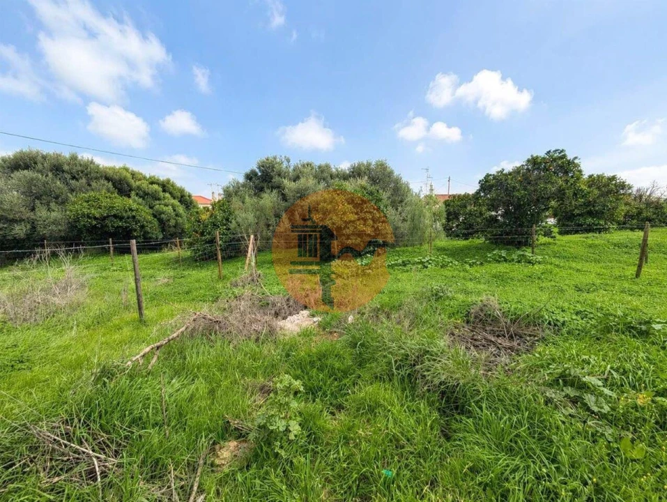 Terreno para Venda em Altura Foto 2