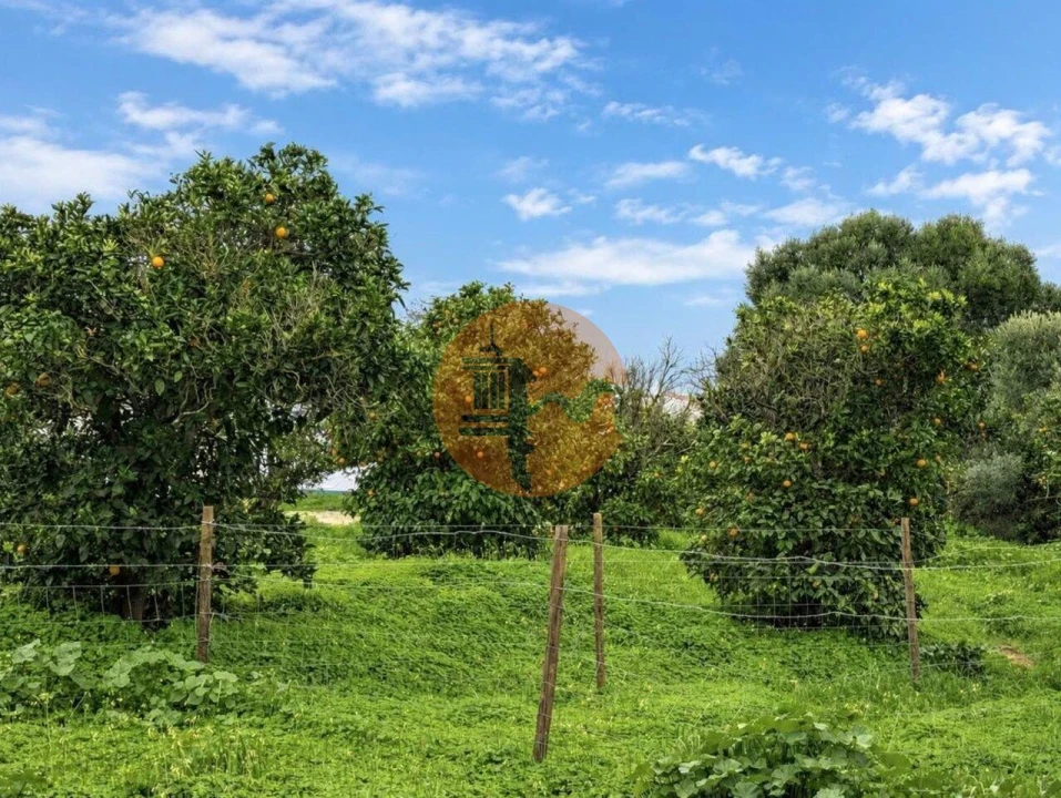 Terreno para Venda em Altura Foto 3