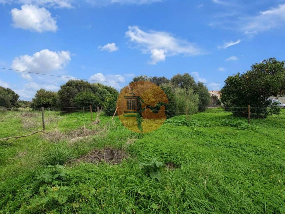Terreno para Venda em Altura Foto 4