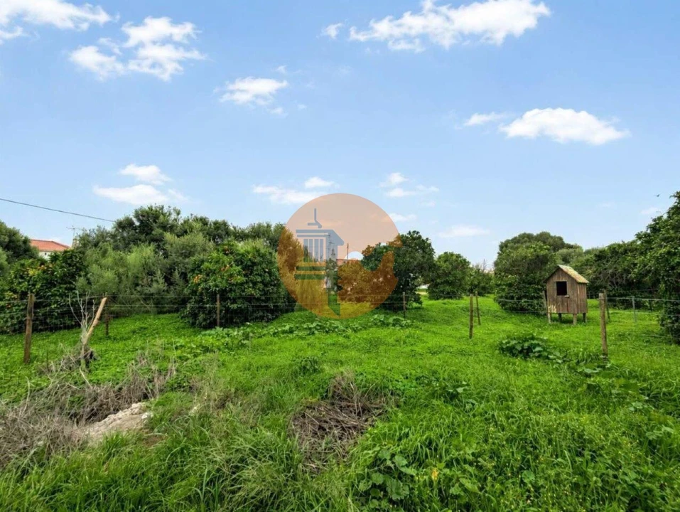 Terreno para Venda em Altura Foto 34