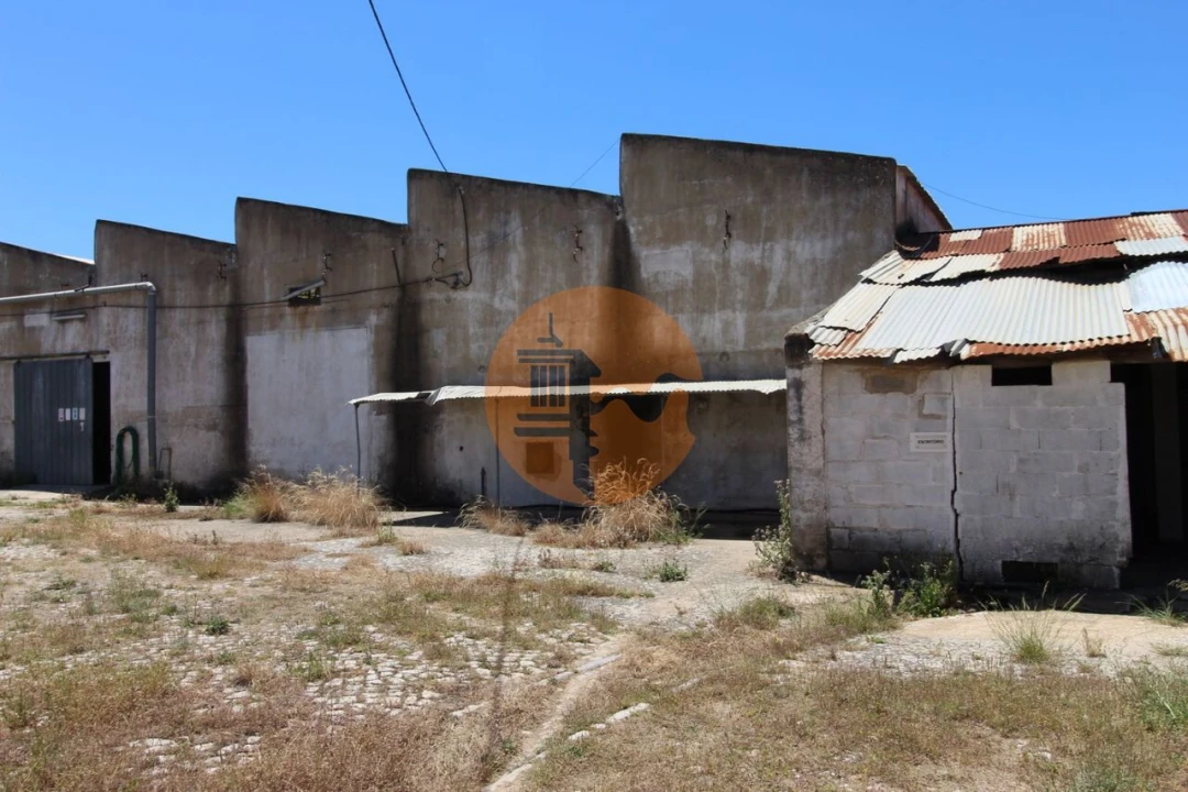 Armazém para Venda em São Brás de Alportel Foto 3