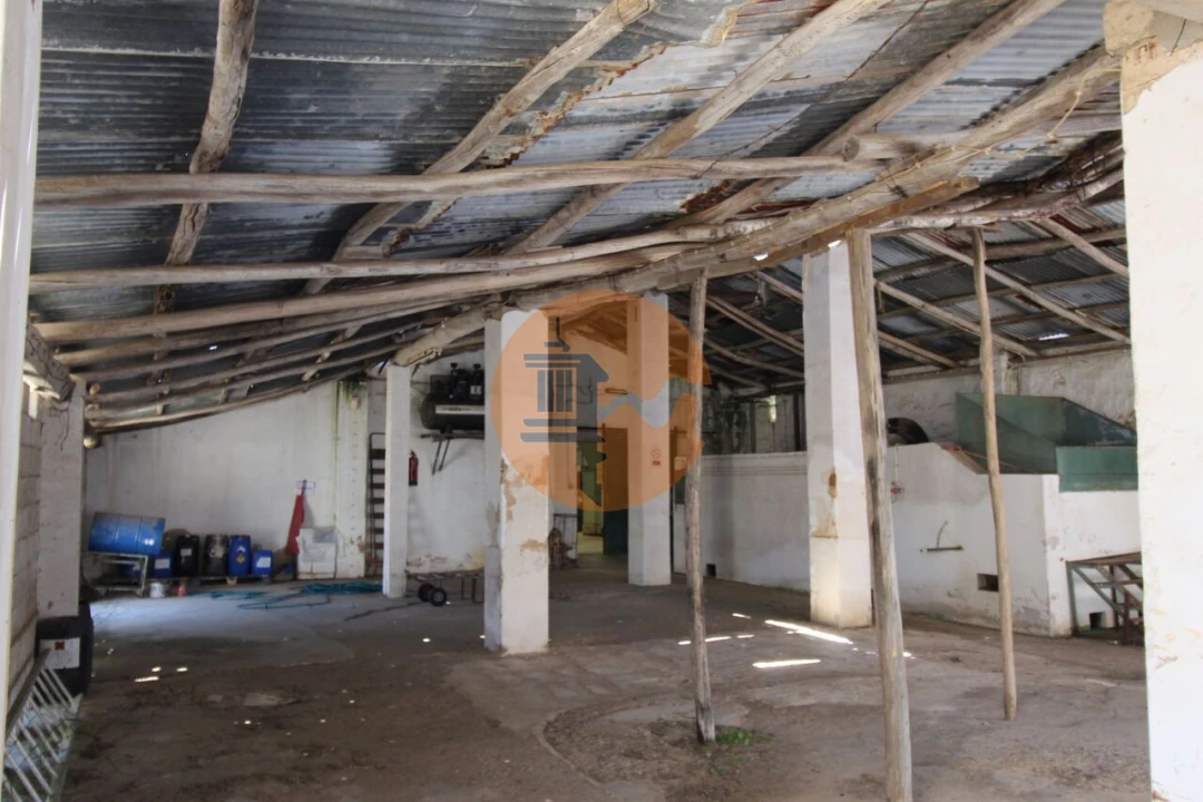 Armazém para Venda em São Brás de Alportel Foto 12