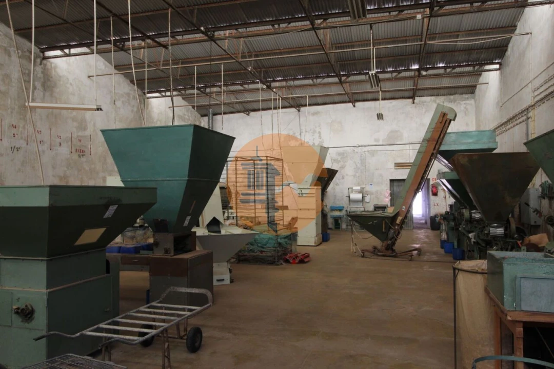 Armazém para Venda em São Brás de Alportel Foto 14