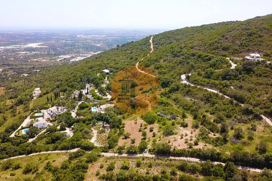 Terreno para Venda em Conceição e Estoi Foto 3