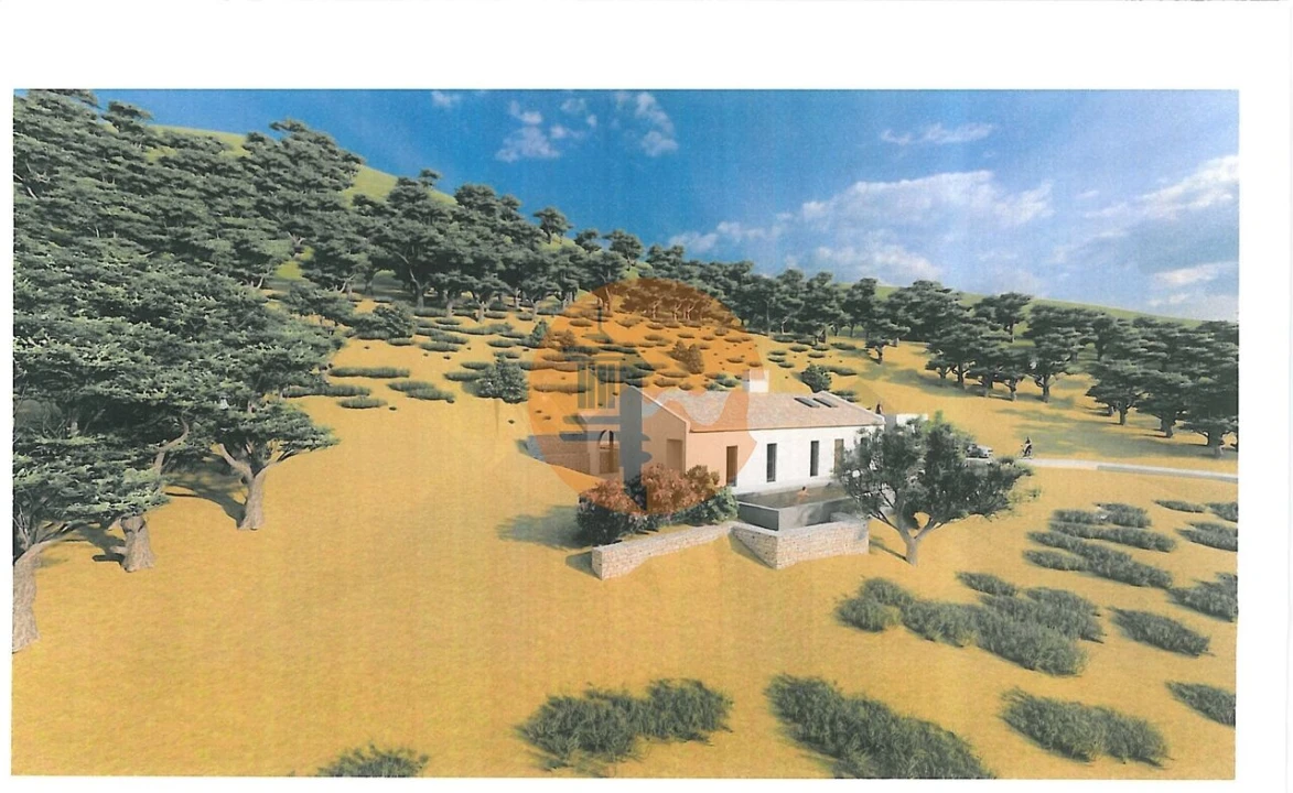 Terreno para Venda em Conceição e Estoi Foto 8