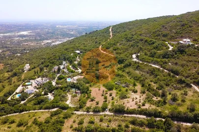 Terreno para Venda em Conceição e Estoi