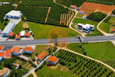 Terreno para Venda em Almancil