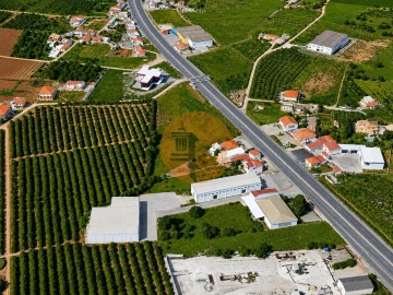 Terreno para Venda em Almancil