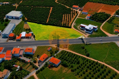 Terreno para Venda em Almancil