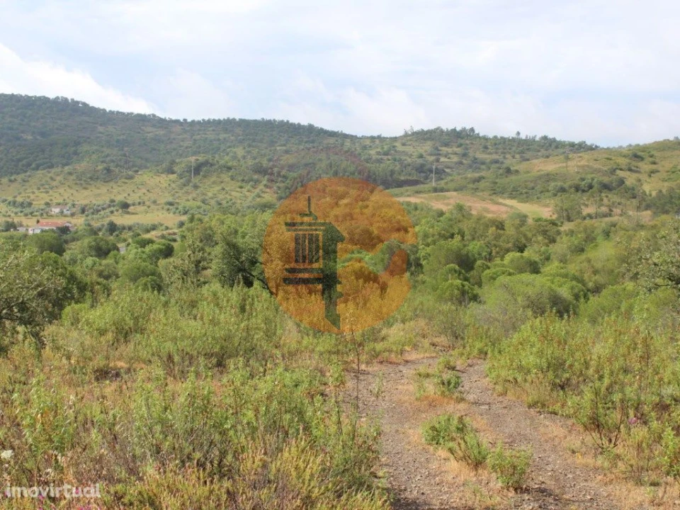 Quinta T0 para Venda em São Bartolomeu de Messines Foto 1