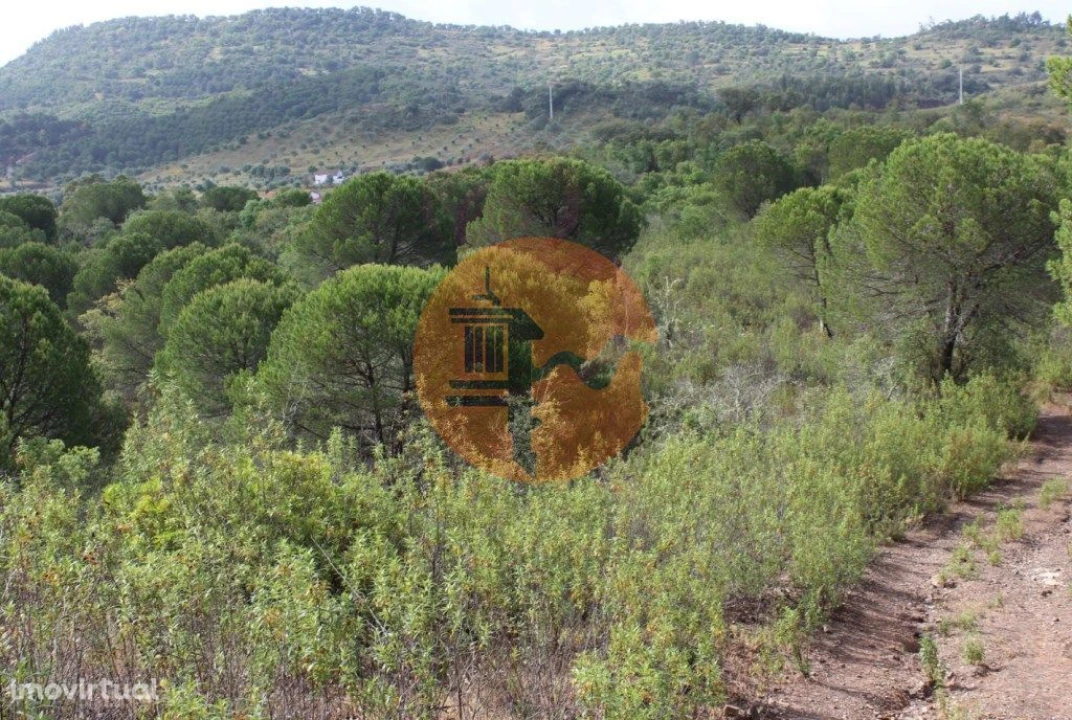 Quinta T0 para Venda em São Bartolomeu de Messines Foto 3