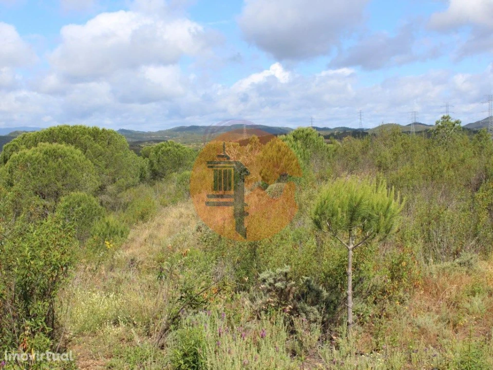 Quinta T0 para Venda em São Bartolomeu de Messines Foto 4