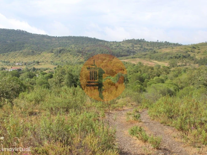 Quinta T0 para Venda em São Bartolomeu de Messines