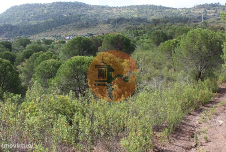 Quinta T0 para Venda em São Bartolomeu de Messines Foto 3