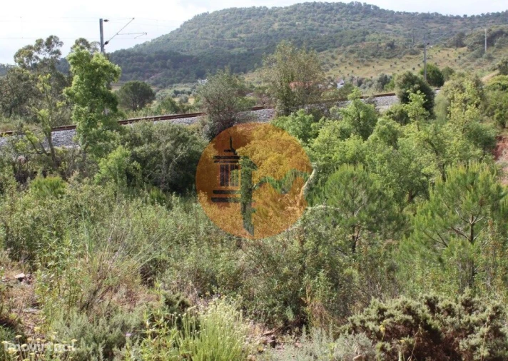 Quinta T0 para Venda em São Bartolomeu de Messines Foto 5