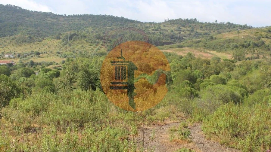 Quinta T0 para Venda em São Bartolomeu de Messines