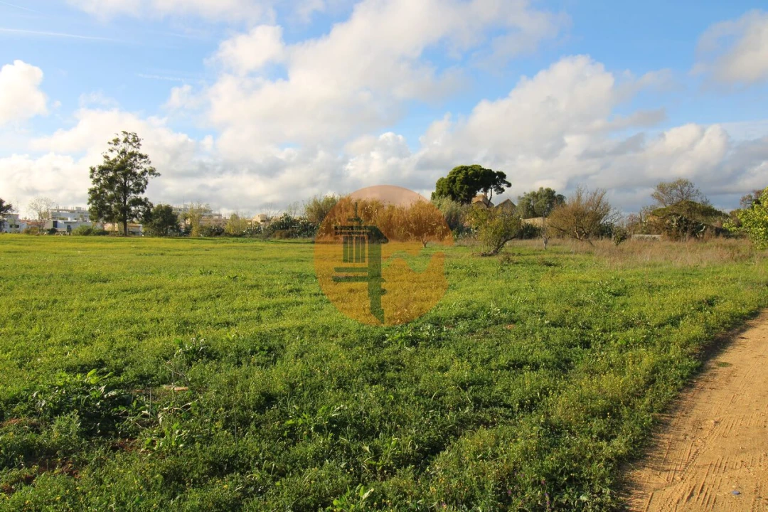Terreno para Venda em Quelfes Foto 19