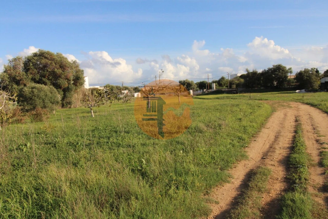 Terreno para Venda em Quelfes Foto 26