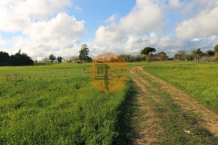 Terreno para Venda em Quelfes Foto 9