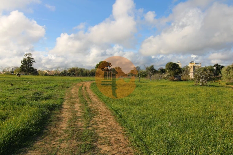 Terreno para Venda em Quelfes Foto 13