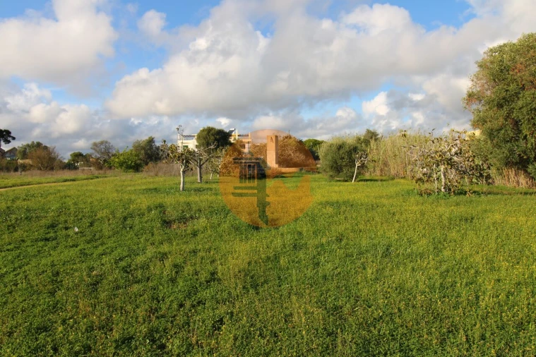 Terreno para Venda em Quelfes Foto 14