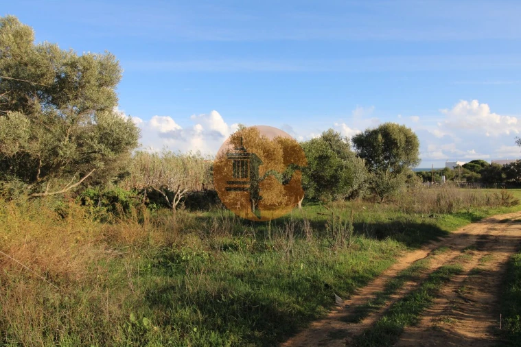 Terreno para Venda em Quelfes Foto 27