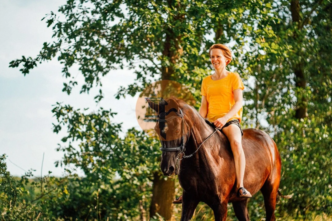 Terreno para Venda em Albufeira e Olhos de Água Foto 16