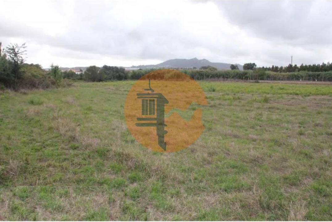 Terreno para Venda em São João das Lampas e Terrugem Foto 2