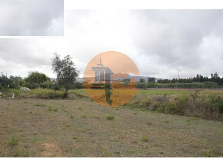 Terreno para Venda em São João das Lampas e Terrugem Foto 1