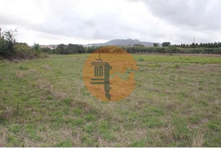 Terreno para Venda em São João das Lampas e Terrugem Foto 2