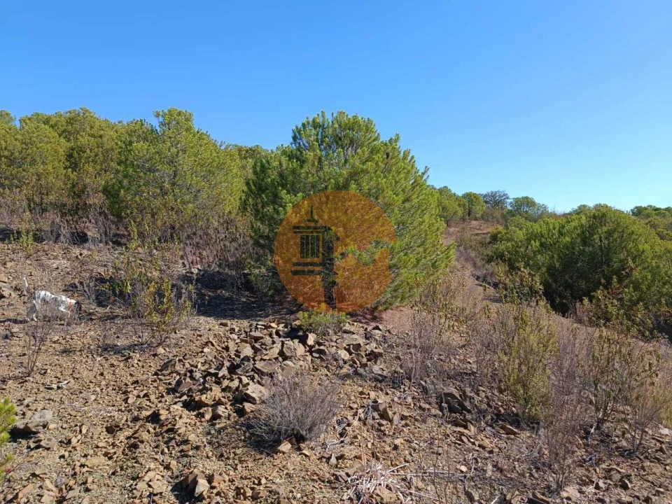 Terreno para Venda em Vaqueiros Foto 14