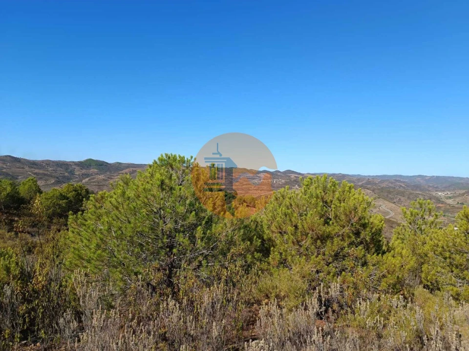 Terreno para Venda em Vaqueiros Foto 15