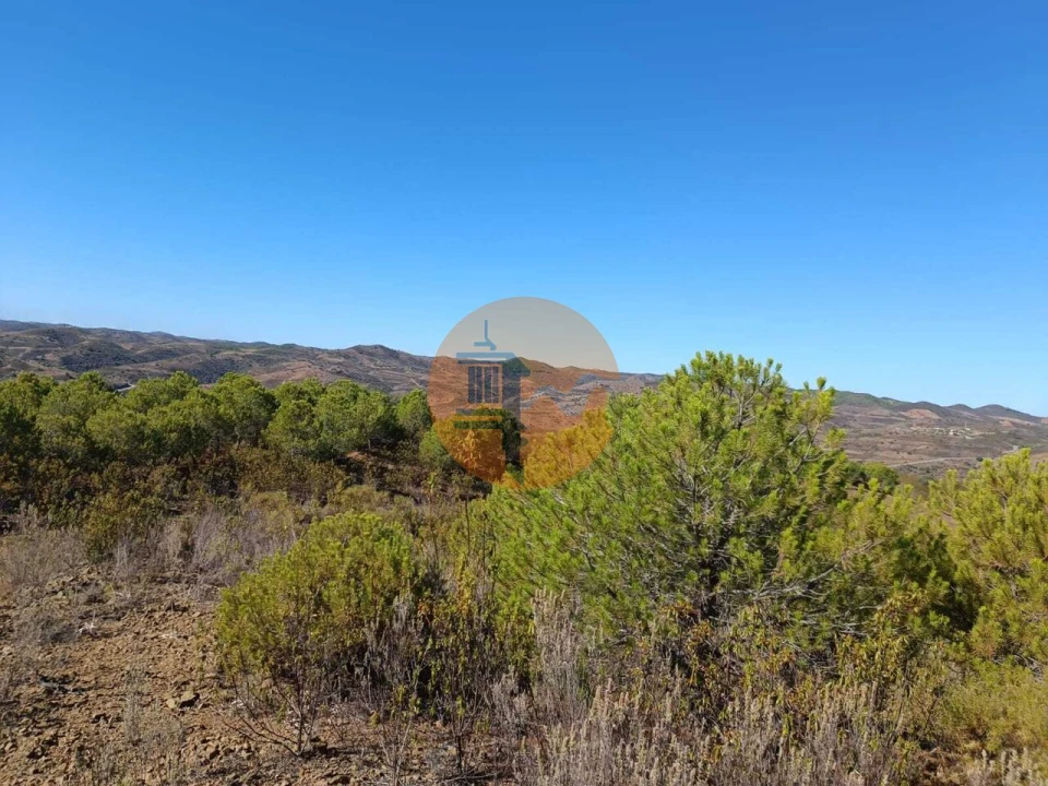 Terreno para Venda em Vaqueiros Foto 17
