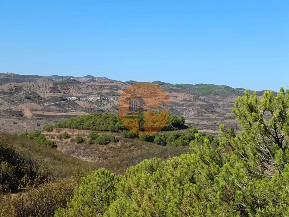 Terreno para Venda em Vaqueiros Foto 20