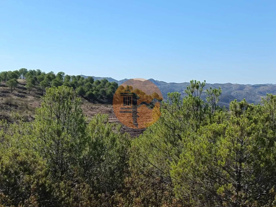 Terreno para Venda em Vaqueiros Foto 4