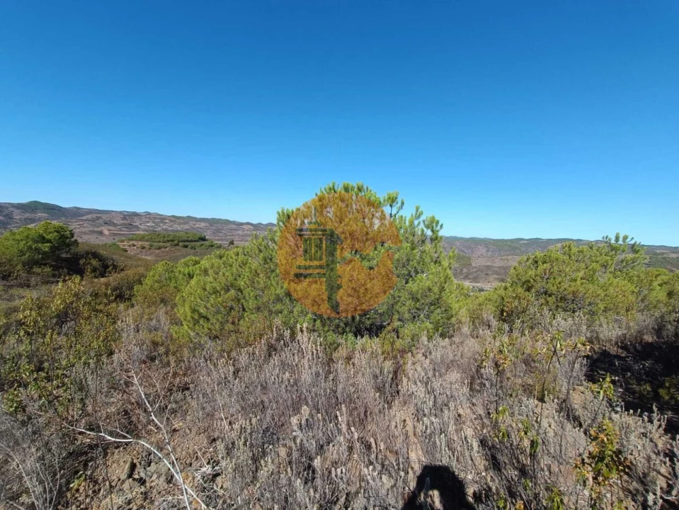 Terreno para Venda em Vaqueiros Foto 23