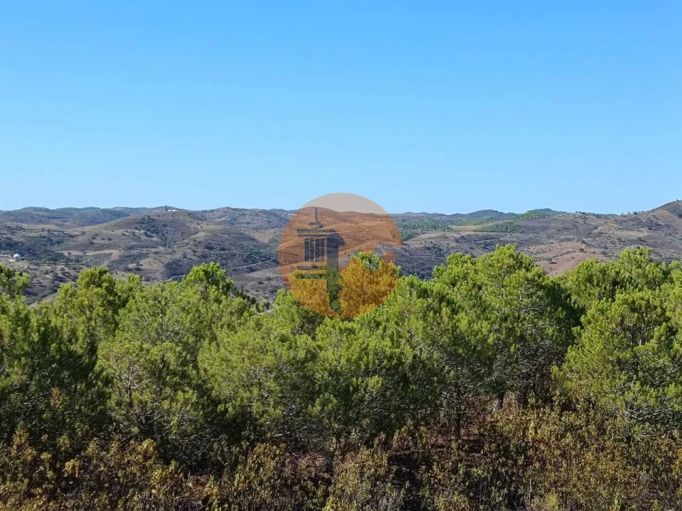Terreno para Venda em Vaqueiros Foto 24