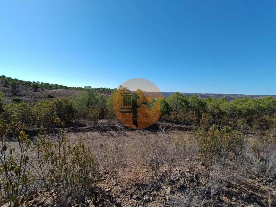 Terreno para Venda em Vaqueiros Foto 29