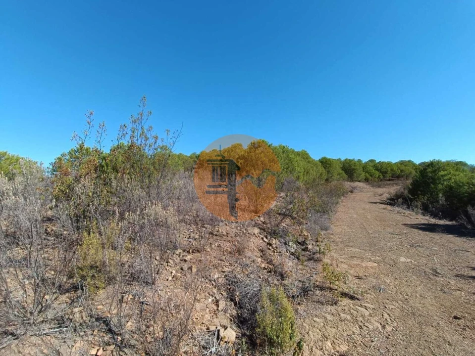 Terreno para Venda em Vaqueiros Foto 32
