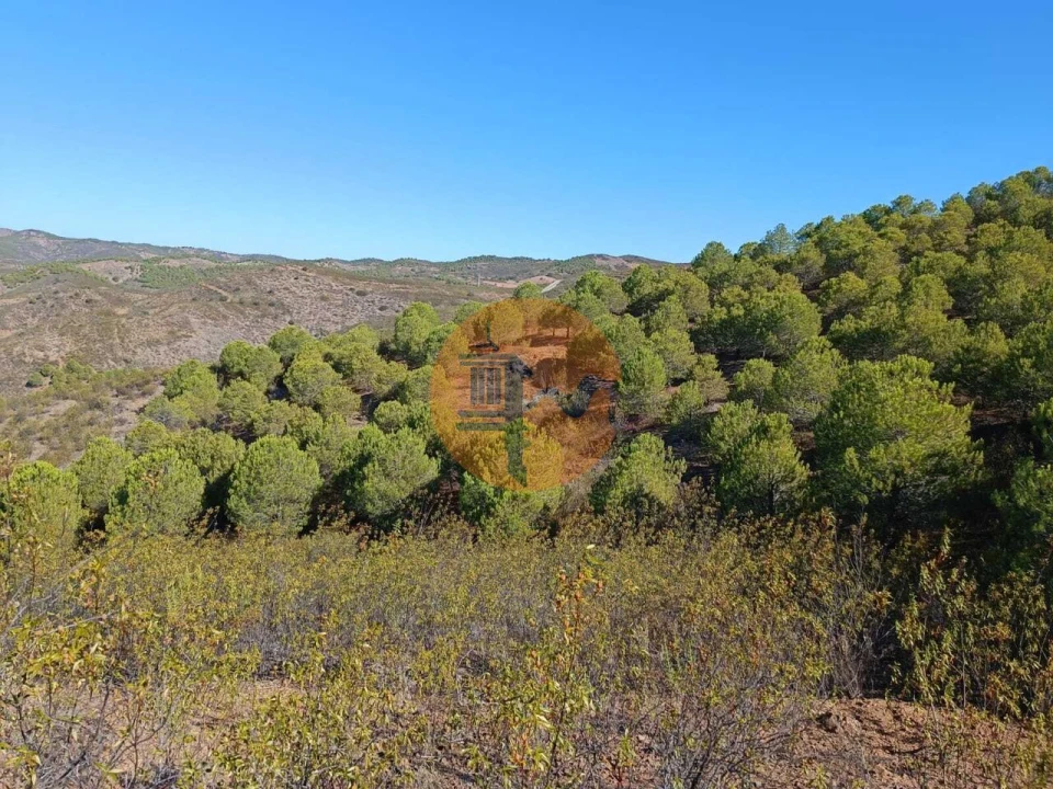 Terreno para Venda em Vaqueiros Foto 36
