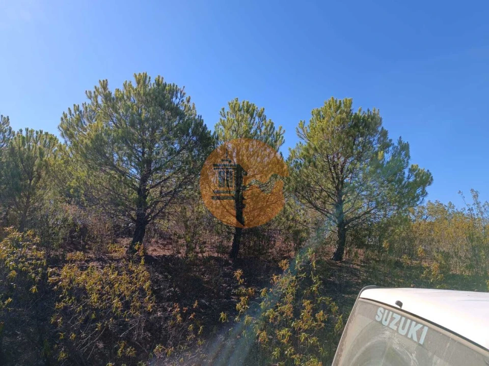 Terreno para Venda em Vaqueiros Foto 41