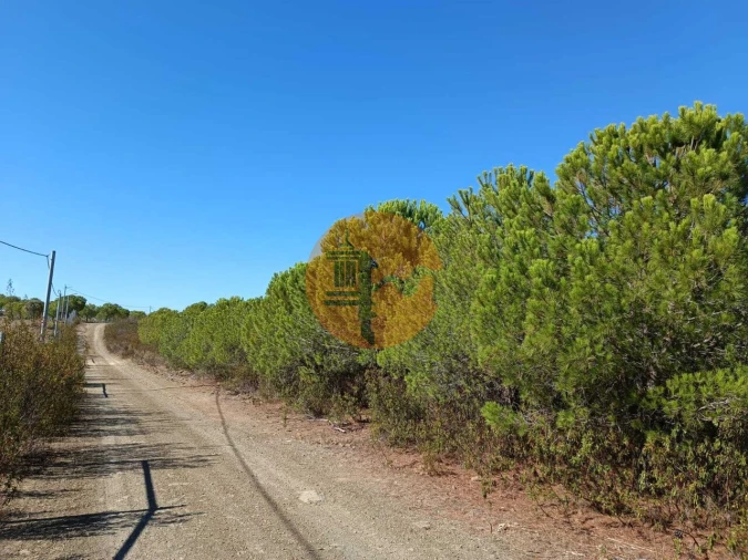 Terreno para Venda em Vaqueiros Foto 5