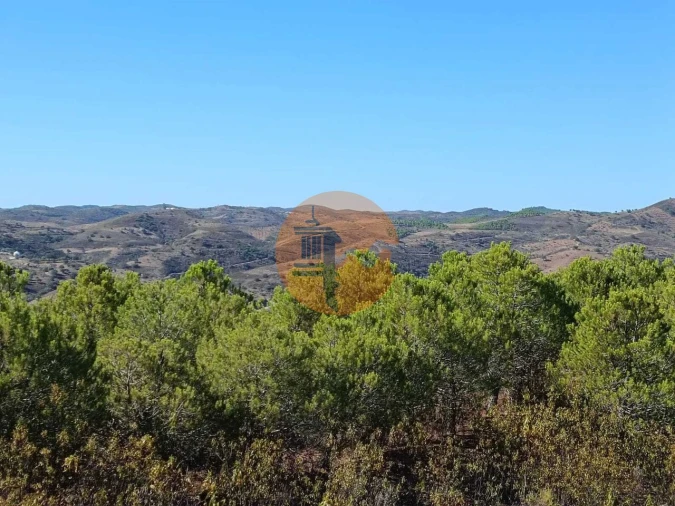 Terreno para Venda em Vaqueiros Foto 24
