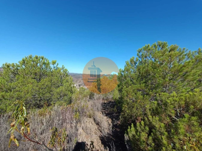 Terreno para Venda em Vaqueiros Foto 25