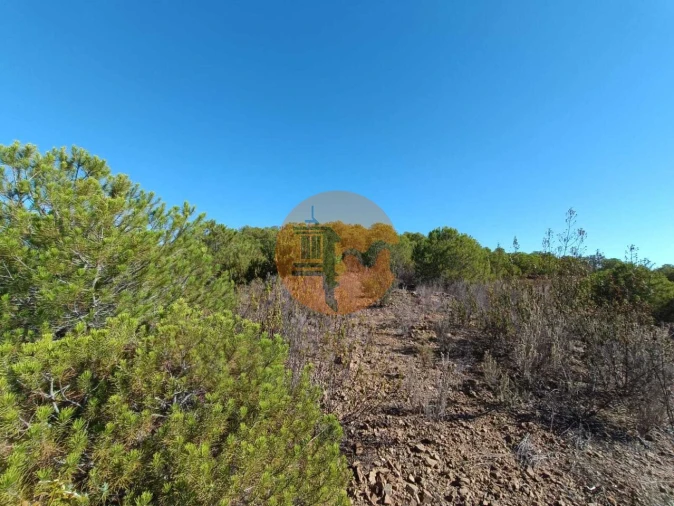 Terreno para Venda em Vaqueiros Foto 30