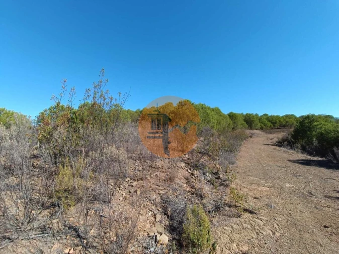 Terreno para Venda em Vaqueiros Foto 32