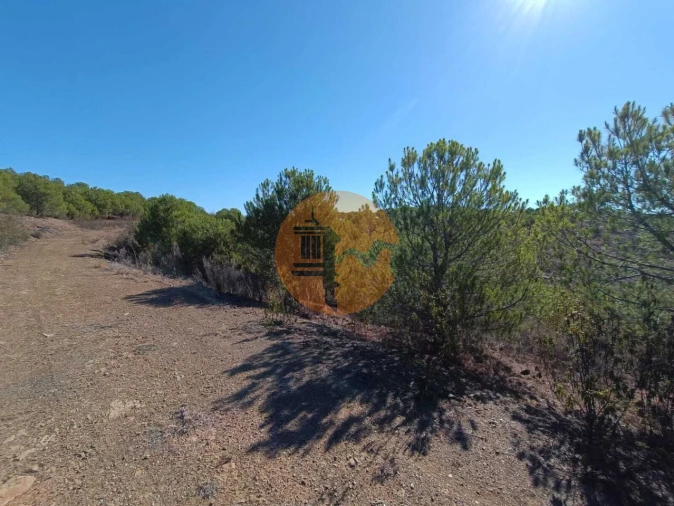 Terreno para Venda em Vaqueiros Foto 34