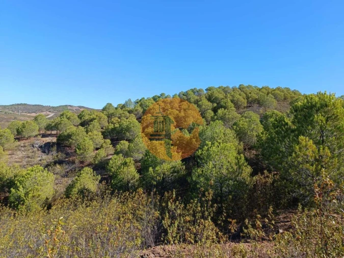 Terreno para Venda em Vaqueiros Foto 37