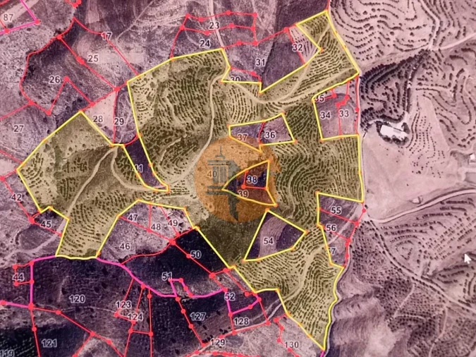 Terreno para Venda em Vaqueiros Foto 2